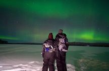 Northern Lights Tour Sleigh Ride