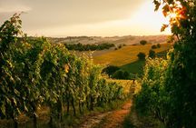 Peloponnesian Delights: Nemea Wines & Nafplio's Beauty