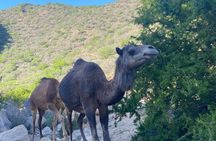 Half-Day Activity in Paradise Valley the hidden place