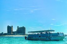 2 Hours Guided Dolphin Tour in Florida
