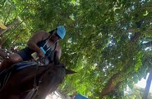Skip the line Atv, Horse Back Riding and Zipline from Montegobay 