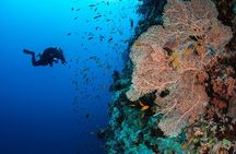 Hurghada Red Sea Novice and Experienced Diving Expedition