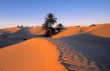 Ride into the Sunset Quad Biking Desert Safari Experience