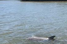 Magic of Nature Guided Kayak Eco Tour