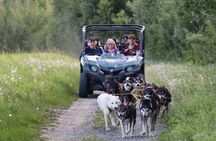 Sled Dog Cart Ride with Guide