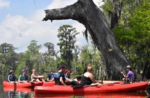Manchac Swamp EXTENDED Kayak Tour with Pickup
