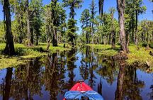 Manchac Swamp EXTENDED Kayak Tour with Pickup