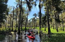 Manchac Swamp EXTENDED Kayak Tour with Pickup