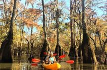 Manchac Swamp EXTENDED Kayak Tour with Pickup