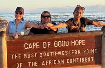 Cape of Good Hope>Cape Point>Penguins & Wine Tasting