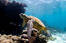 Half Day Sailing and Snorkeling Tour from Coral Bay