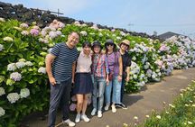 Small group tour FULL - PACKAGE Tour to All Areas in Jeju Island