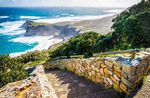 Cape Town Shore Tour: Table Mountain, Penguin & Cape Point 