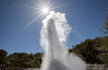 Wai-O-Tapu to Redwoods and Secret Spot Private Tour from Auckland