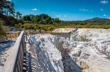 Wai-O-Tapu to Redwoods and Secret Spot Private Tour from Auckland