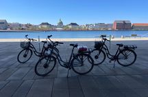 2.5 Hours E-Bike Christmas Tour in Copenhagen