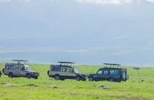 Tanzania Classic Safari 3 Days / 2 Nights