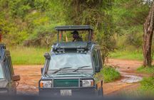 Tanzania Classic Safari 3 Days / 2 Nights