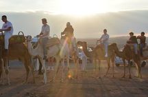 Magical dinner in agafay Desert with Show