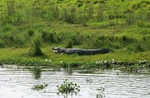 3 Days and 2 Nights Chitwan National Park Safari Tour in Pokhara