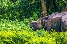 3 Days and 2 Nights Chitwan National Park Safari Tour in Pokhara