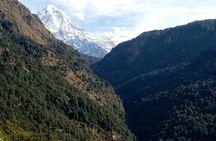 Pokhara Private Tour: 10 Days ABC Trek with Poon Hill