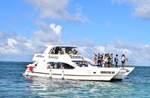 Private Boonze cruise and Snorkeling at Punta cana