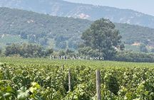  Colchagua Valley Private Tour: Montes + Clos Apalta