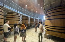  Colchagua Valley Private Tour: Montes + Clos Apalta