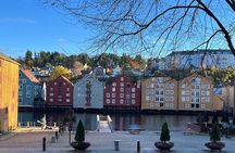 Half-Day Highlights of Trondheim by Bus and City Walk