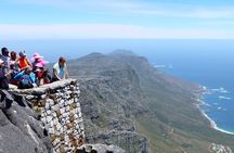 Table Mountain, Penguins & Cape of Good Hope Small Group Top Tour from Cape Town