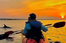 Bioluminescence Tour on Kayak or Paddle Board