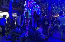 Private Christmas Lights Tour in Medellín! - Only Holiday Season!