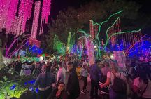 Private Christmas Lights Tour in Medellín! - Only Holiday Season!