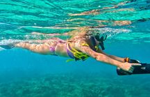 Puerto Rico Jet Snorkel Tours