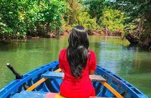 Dominica: Indian River Discovery & Beach stop.
