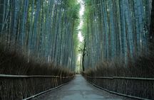 Kyoto Early Morning Tour with English-Speaking Guide