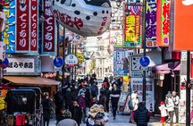 Osaka 8hr Private Tour with Government-Licensed Guide