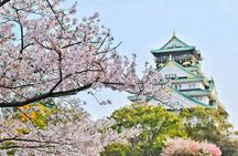 Osaka 8hr Private Tour with Government-Licensed Guide