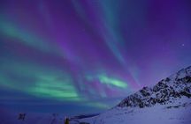 Snow ATV Tour in Alaska
