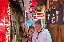 Osaka Customized Full-Day Private Tour with Licensed Guide