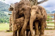 4 Days Tour of Chiang Mai and Chiang Rai