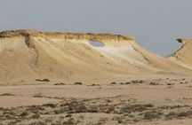 Doha-Private Combo Full Day North and West of Qatar Tour 8hours