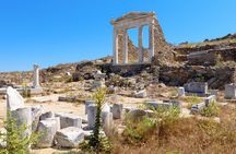 Deluxe Mykonos Tour for Cruise Passengers