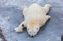 Ranua WildLife Zoo Park