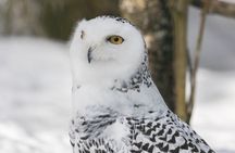 Ranua WildLife Zoo Park