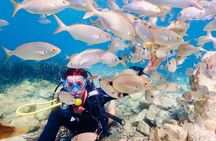 Guided Scuba Diving Experience in Kusadasi