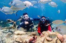Guided Scuba Diving Experience in Kusadasi
