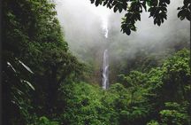 Dominica: Chasing Waterfalls Experience 