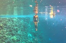 Snorkelling Adventure in Sharm El Luli Beach in Marsa Alam